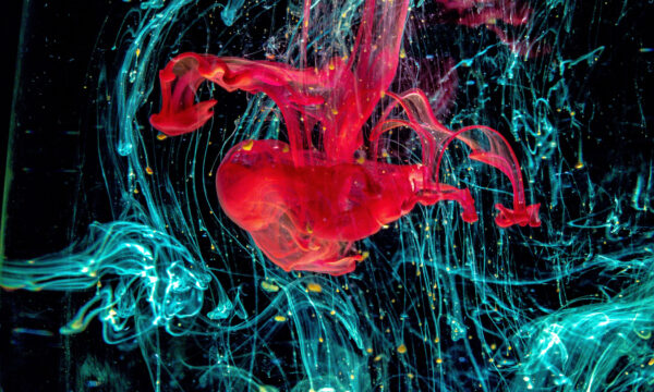lucas-benjamin-565254-unsplash lucas-benjamin-565254-unsplash