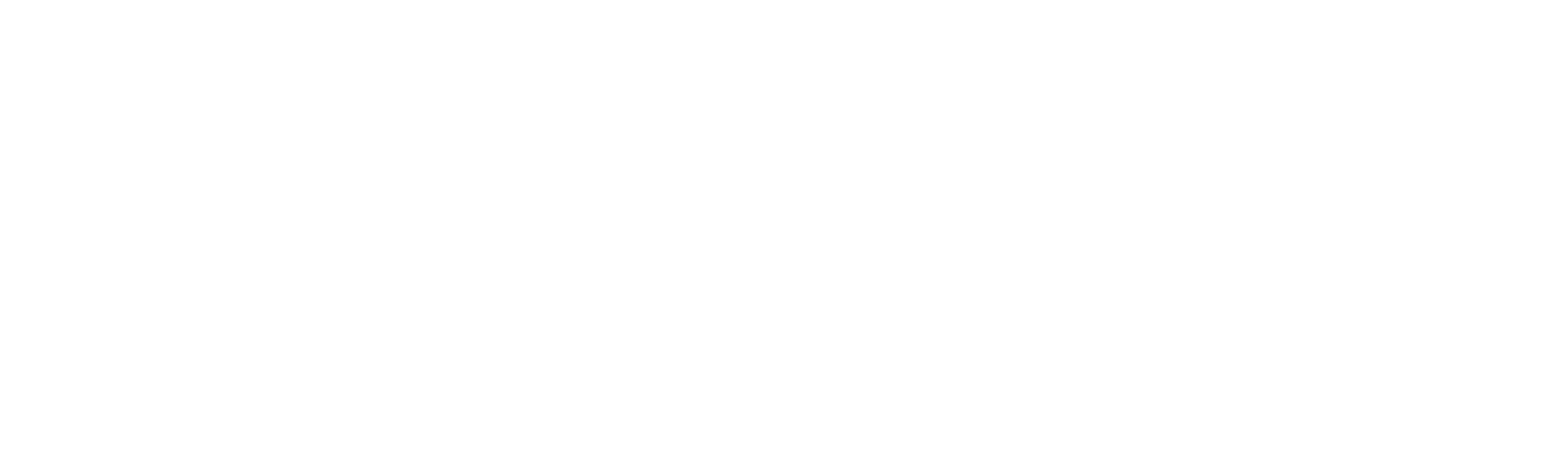 logo-light